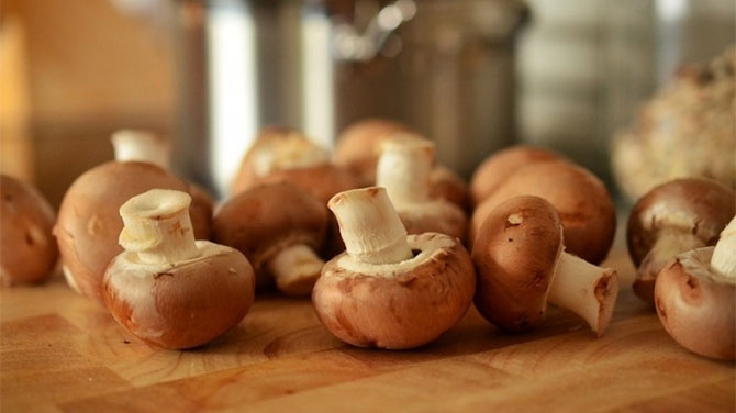 Barna gomba kalória – Lehet fogyni barna gombával?